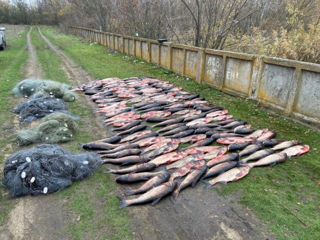 Сколько будет стоить криворожанам незаконный вылов рыбы