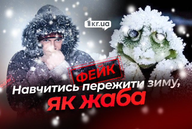 Научиться у лягушки: как РФ 5 лет распространяет один и тот же фейк об отоплении в Украине