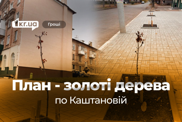 Саженцы по 2,5 тысячи гривен: в Кривом Роге на озеленение возле отремонтированного здания заложили завышенные цены