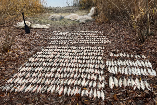 Рыбоохранители Днепропетровщины за неделю выявили более 170 нарушений