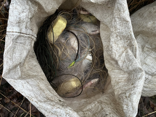 Браконьеры из Днепропетровщины наловили рыбы на почти 900 тысяч гривен убытков