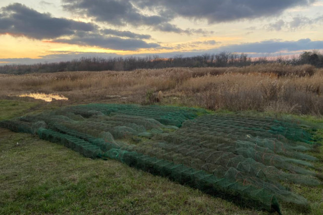В Криворожском районе разоблачили массовое незаконное вылавливание раков