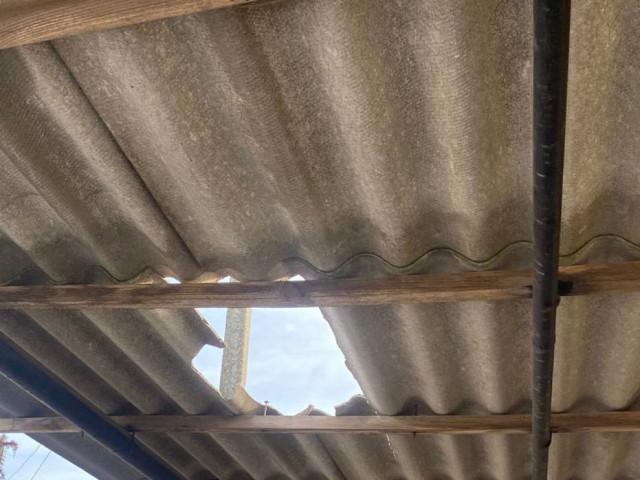 Из-за вражеских атак по Днепропетровщине погиб домашний скот