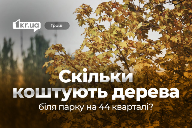В Кривом Роге за 42 тысячи гривен оценят стоимость 60 деревьев
