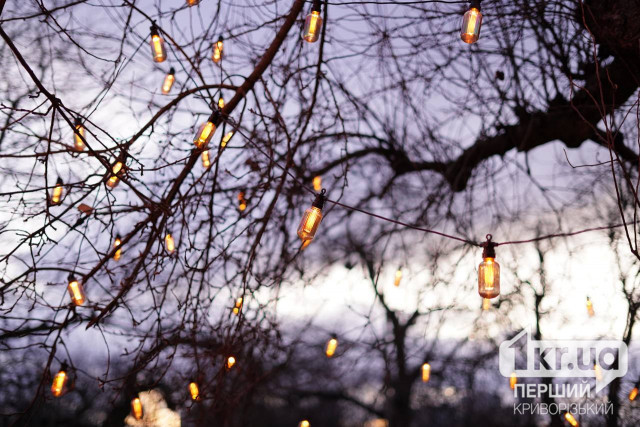 Когда в Кривом Роге 20 ноября будут выключать свет – графики