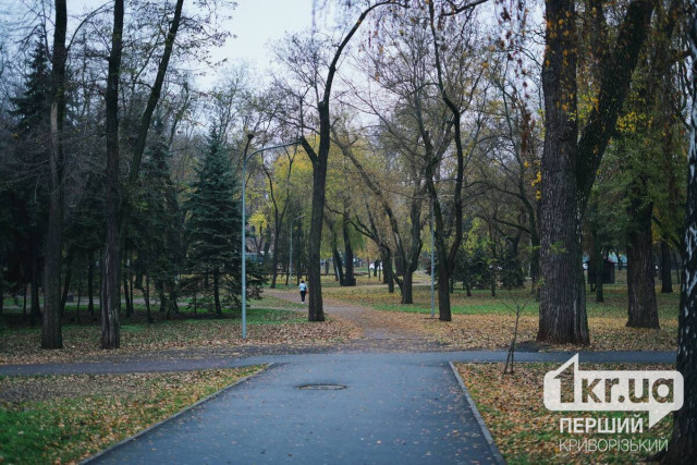 Какую погоду ждать криворожанам 24 ноября