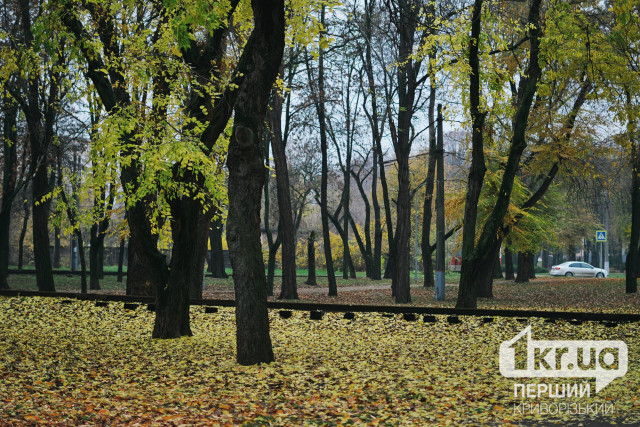 В Кривом Роге зарегистрировали очередную рекордную температуру воздуха
