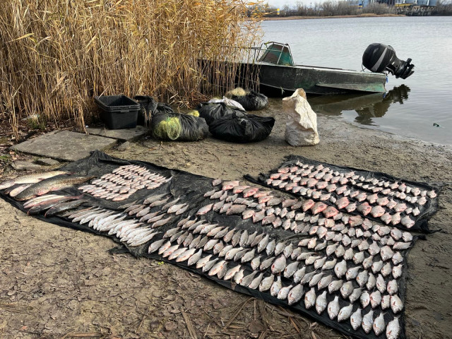 В Днепропетровской области провели силовое задержание рыболовов-браконьеров