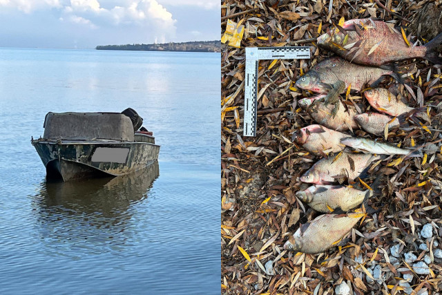 Сколько нарушений разоблачили за неделю рыбпатрульные Днепропетровской области