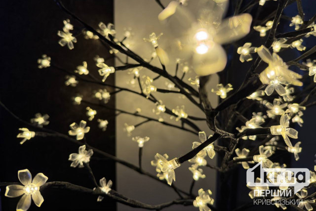 26 листопада у Кривому Розі діятимуть погодинні відключення світла