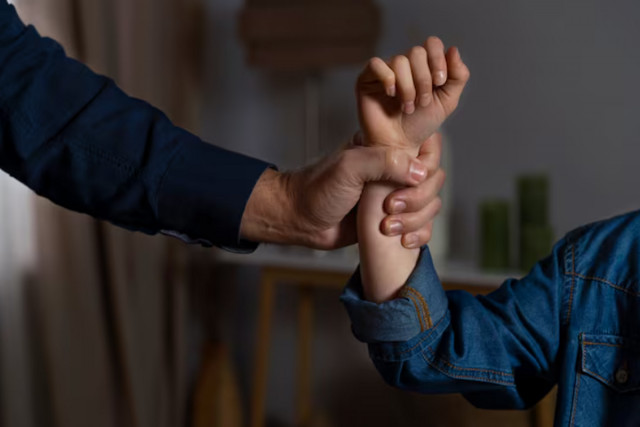 Сколько криворожан, пострадавших от домашнего насилия, обратились в спеццентры в этом году