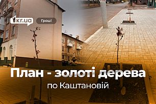 Саженцы по 2,5 тысячи гривен: в Кривом Роге на озеленение возле отремонтированного здания заложили завышенные цены