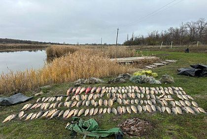 Браконьеры на Криворожье нанесли ущерб природе более чем на полмиллиона гривен