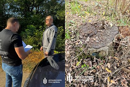 Экс-главу лесхоза из Днепропетровщины будут судить за служебную халатность