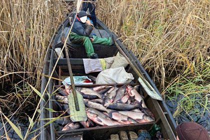 На Криворожье выявили браконьеров, которые выловили более половины тонны рыбы