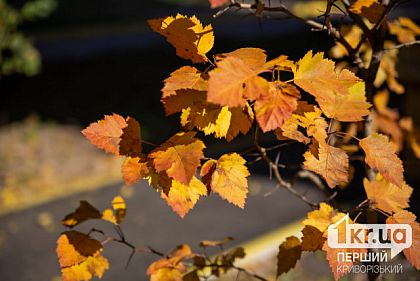 Погода у Кривому Розі на 6 листопада