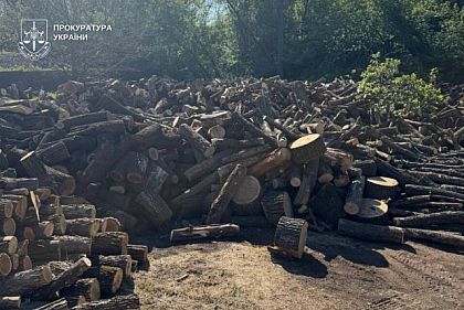 Вырубили деревьев на 1,3 миллиона гривен: будут судить жителей Днепропетровщины
