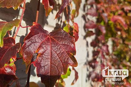 Какая будет погода в Кривом Роге 7 ноября