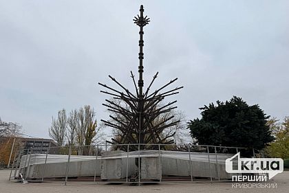В Кривом Роге начали монтировать новогоднюю елку