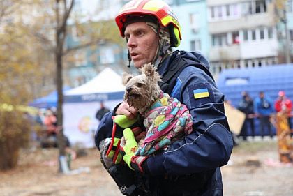 В Днепре из-под завалов спасли собаку: она упала с пятого на второй этаж