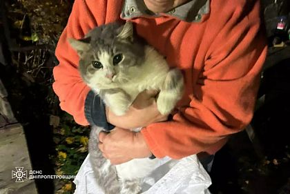 В Днепропетровской области спасатели освободили кота из девятиметрового колодца