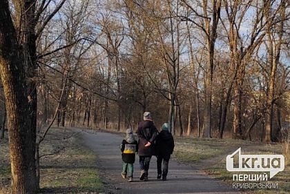 В Кривом Роге 90% детей-сирот воспитываются в семьях