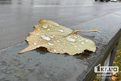 11 ноября в Кривом Роге ожидается усложнение погодных условий