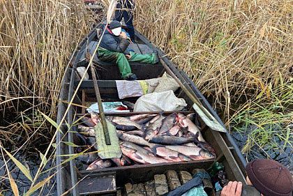 За неделю в Днепропетровской области наловили рыбы на полтора миллиона гривен убытков