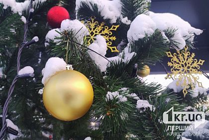 В Кривом Роге впервые за время полномасштабной войны установят новогоднюю елку