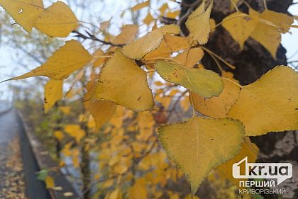 Погода в Кривом Роге 12 ноября