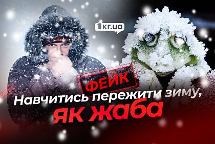 Научиться у лягушки: как РФ 5 лет распространяет один и тот же фейк об отоплении в Украине