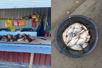 Що загрожує криворіжцям, які незаконно торгують рибою