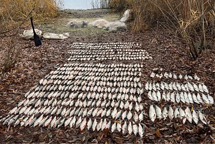 Рибоохоронці Дніпропетровщини за тиждень виявили понад 170 порушень