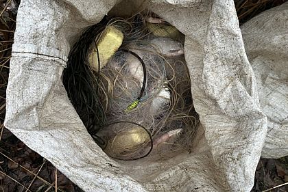 Браконьеры из Днепропетровщины наловили рыбы на почти 900 тысяч гривен убытков