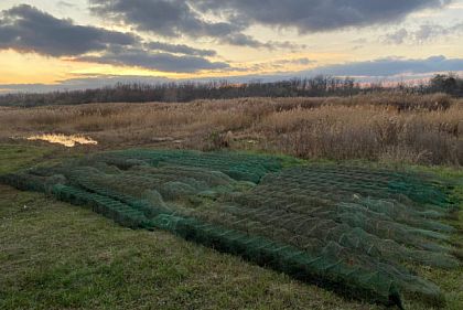 У Криворізькому районі викрили масове незаконне виловлювання раків