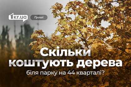 В Кривом Роге за 42 тысячи гривен оценят стоимость 60 деревьев