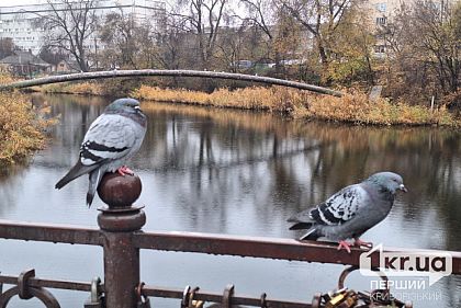 Какую погоду ждать криворожанам 23 ноября