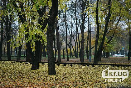 В Кривом Роге зарегистрировали очередную рекордную температуру воздуха