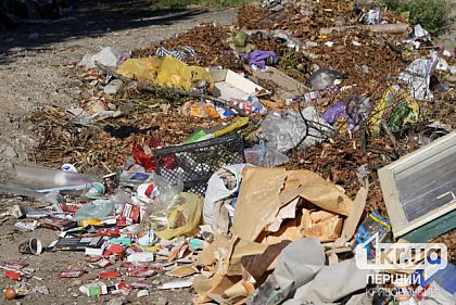 Кривий Ріг — лідер з ліквідації нелегальних звалищ у Дніпропетровській області