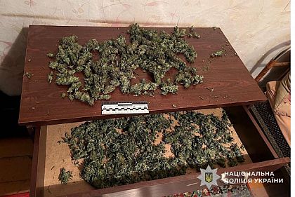 На Дніпропетровщині викрили чоловіка, який зберігав майже 1,5 кілограма канабісу