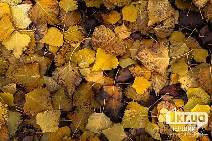 Какая погода будет в Кривом Роге 27 ноября