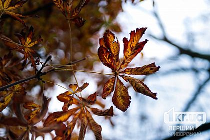 Какой погоды ждать криворожанам 29 ноября