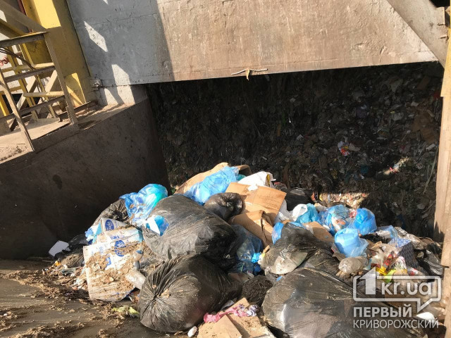 На уборку случайного мусора в одном из районов Кривого Рога планируют потратить 652 тысячи гривен