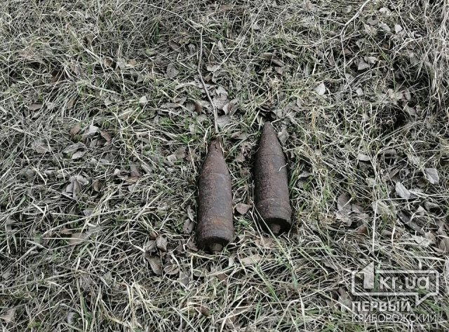 В лесополосе в Криворожском районе обнаружили снаряды