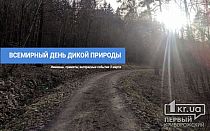 Фото новости