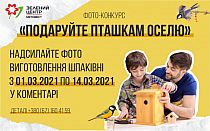 Фото новости