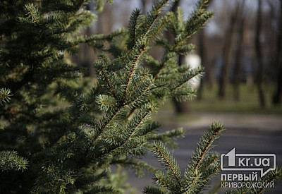 Фото к новости Главное фото новости