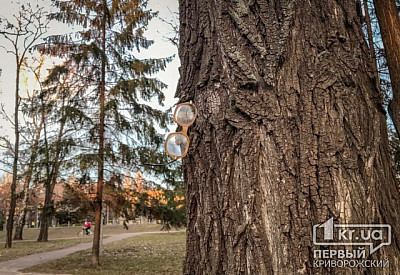 Фото к новости Главное фото новости