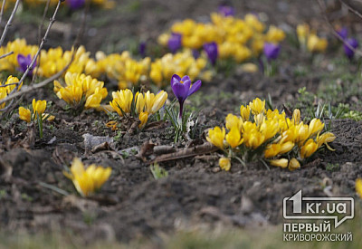 Фото к новости Главное фото новости