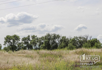 Фото к новости Главное фото новости